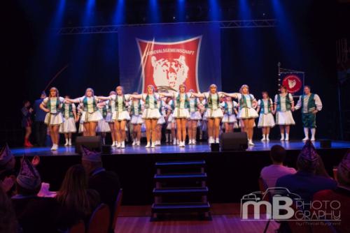 Alstadener Bären - Bärensitzung 2016